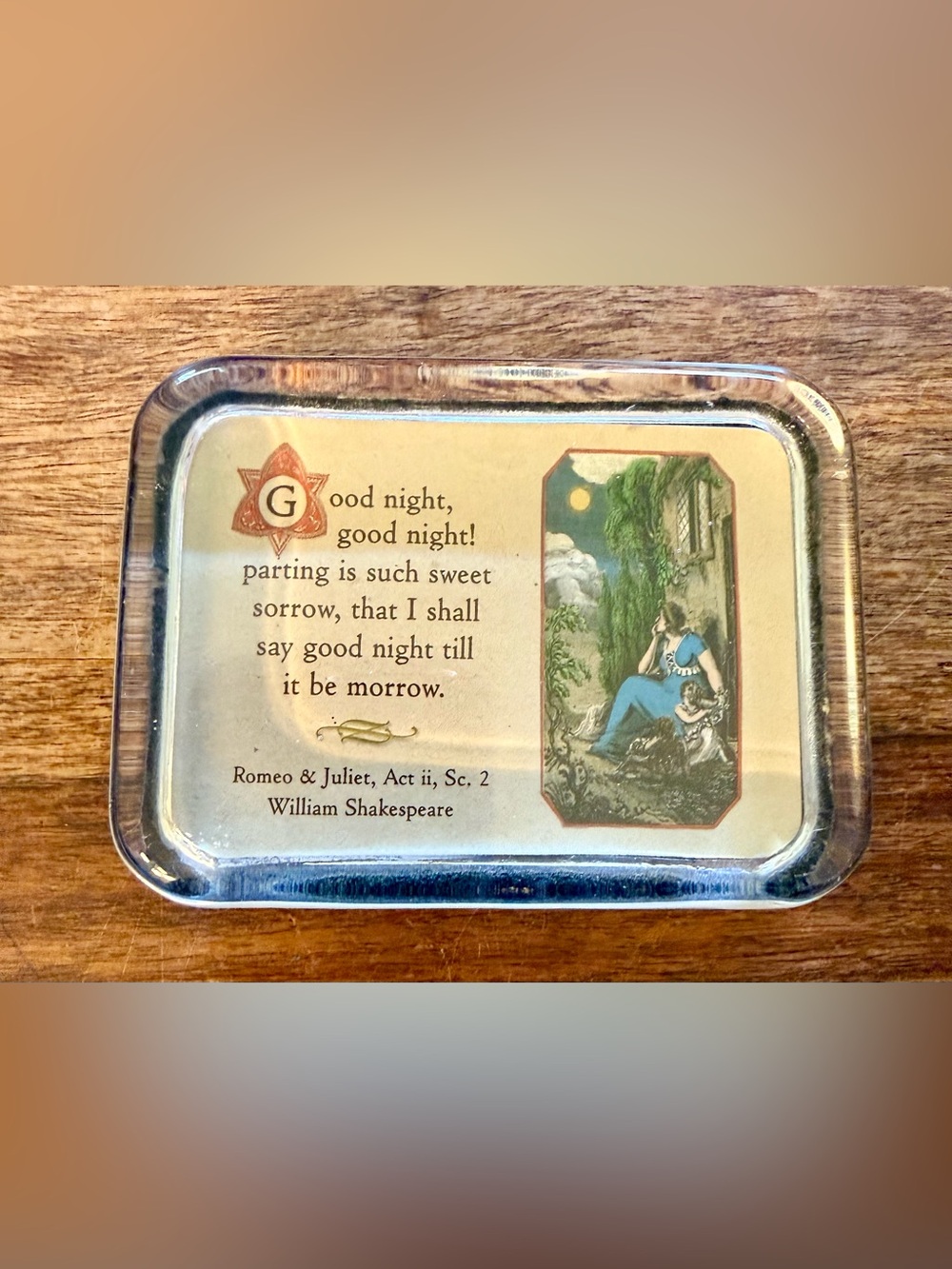 Vintage Barnes & Noble Romeo & Juliet Illustrated Quote Glass Paperweight